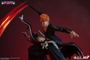 HEX Ichigo Kurosaki